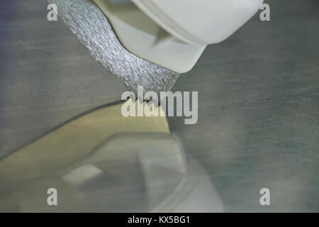 Des dents pointues d'un Patin avec réflexion, concept mouvement, rapidité, l'exécution Banque D'Images