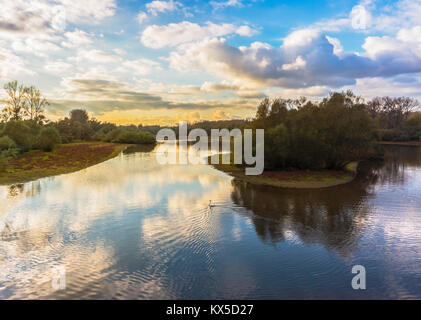 Magnifique paysage de la réserve naturelle du delta de la Sauer à la fin de l'après-midi, le nord de l'Alsace, France, Europe.