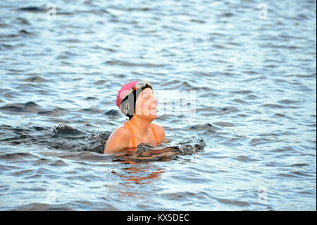 London, UK, 07/01/2017 Les nageurs du club nageurs Serpentine se lancer dans un peu plus de gel le dimanche matin comme temperatur Banque D'Images