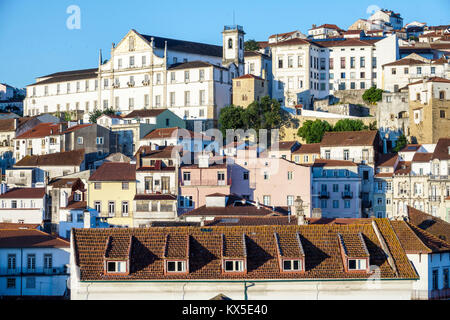 Coimbra Portugal,centre historique,Alta,centre ville,gratte-ciel,bâtiments,flanc de coteau,toits,hispanique,immigrants,Portugais,PT170703083 Banque D'Images