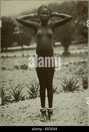 "Du Congo pour le Niger et le Nil : un compte de l'expédition d'Afrique centrale allemande de 1910-1911' (1913) Banque D'Images