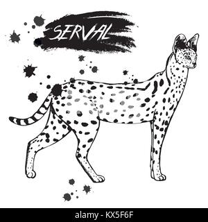 Style croquis dessinés à la main, serval. Vector illustration isolé sur fond blanc. Illustration de Vecteur