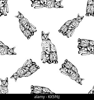 Motif de la main transparente style croquis serval. Vector illustration isolé sur fond blanc. Illustration de Vecteur