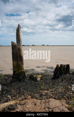 A pourri les pilotis, pagodes, Orford Ness Banque D'Images