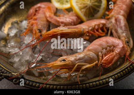 Grandes Crevettes tiger et tranche de citron frais dans l'ancienne assiette pleine de glace sur fond sombre. Vue rapprochée Banque D'Images