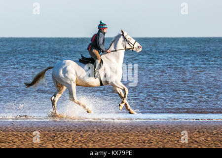 Horse Rider, Cleveleys Beach, Lancashire. 8 janvier 2018. Météo britannique. Deborah Simmonds met son cheval bien-aimé, 4 ans 'Scooby' à l'épreuve dans le il trotte par la marée montante en superbe soleil d'hiver le long des côtes de Cleveleys beach dans le Lancashire. Credit : Cernan Elias/Alamy Live News Banque D'Images