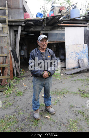 GGalena, AK - Disciples du Christ et United Methodist bénévoles travaillent à l'intérieur de la maison, dont la maison Nollner Paddy a été endommagé par les inondations printanières. Alaska a subi de graves inondations le long de la rivière Yukon en mai et juin après un hiver plus long que la normale et rapide des températures. Un embâcle sur la rivière s'est produit près de la galène qui ont provoqué des inondations et des dommages à grande échelle par de l'eau élevé et de grandes plaques de glace. État, locaux et fédéraux, les organismes bénévoles continuent de donner la priorité à la réparation d'un refuge pour réduire le besoin d'abri d'hiver. - Dans la galène, AK. Banque D'Images