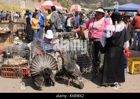 L'Équateur, Otavalo - 25 août : ethnique équatorienne les femmes dans les vêtements Vente de produits agricoles et d'autres produits alimentaires sur un marché à l'Otaval Banque D'Images