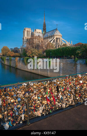 Paris Seine, vue depuis le Pont de l'Archeveche de la cathédrale Notre-Dame au lever du soleil, le centre de Paris, France. Banque D'Images