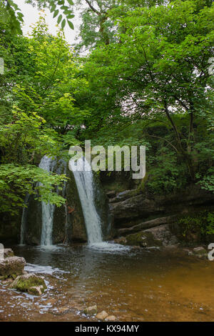 Janet's Foss, une petite chute sur la Gordale Beck, North Yorkshire, England, UK Banque D'Images