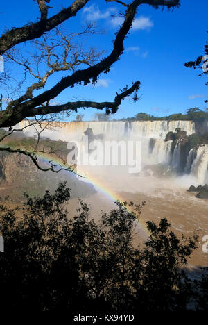 Iguasu Falls - Argentine/Brésil Banque D'Images