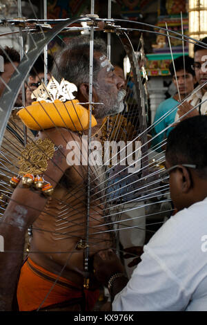 Serangoon, Singapour - 30 janvier 2010 : dévot hindou portant un kavadi en Thaipusam la fête hindoue, Singapour Banque D'Images