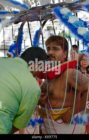 Serangoon, Singapour - 30 janvier 2010 : dévot hindou portant un kavadi en Thaipusam la fête hindoue, Singapour Banque D'Images
