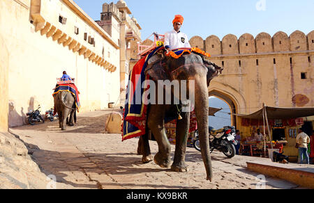 Les éléphants et les cornacs à Fort Amber Banque D'Images