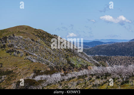 Beau paysage des Alpes australiennes, Victoria, Australie Banque D'Images