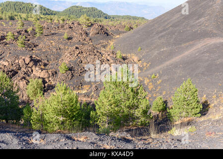 Le mont Etna, Sartorius, Sicile, Italie, le cône éruptif de 1865 Banque D'Images