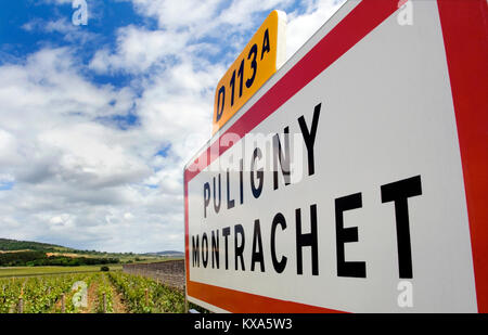 Puligny-Montrachet road sign et vignobles derrière à l'entrée du célèbre village viticole de Puligny-Montrachet Bourgogne Côte d'Or France Banque D'Images