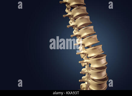 La colonne vertébrale du squelette et de la colonne vertébrale ou des disques intervertébraux sur un fond sombre comme un concept médical comme un 3D illustration. Banque D'Images