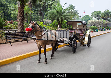 Cheval avec transport dans Intramuros, Manille, Philippines Banque D'Images