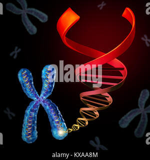 L'ADN chromosomique comme matériel génétique de chromosomes que la biotechnologie et la thérapie génique ou d'immunothérapie comme un concept 3D illustration. Banque D'Images