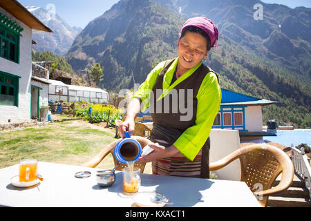 Une Sherpani Sherpa (femme) dans une auberge à Monjo le long de la trekking au camp de base de l'Everest, servant le thé de gingembre fraîchement préparés pour les randonneurs. Banque D'Images