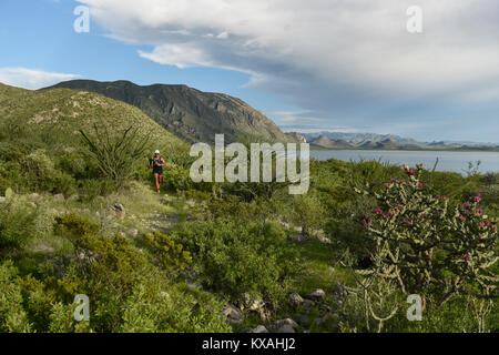 Le sentier de l'homme dans la zone de la Presa Zarco à Durango, Mexique Banque D'Images