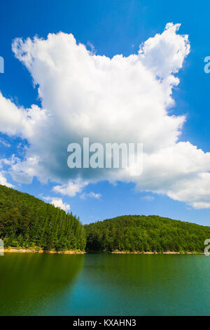 Paysage de montagne avec nuage en forme de tortue sur le lac Gozna entouré par la forêt, Valiug, Caras-Severin, Roumanie Banque D'Images