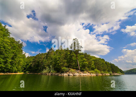 Paysage de montagne avec lac Gozna entouré par la forêt, Valiug, Caras-Severin, Roumanie Banque D'Images