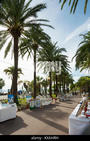 Palmiers sur la promenade de la plage, Cannes, Côte d'Azur, Provence-Alpes-Côte d'Azur, sud de la France, France Banque D'Images