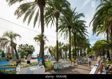 Palmiers sur la promenade de la plage, Cannes, Côte d'Azur, Provence-Alpes-Côte d'Azur, sud de la France, France Banque D'Images