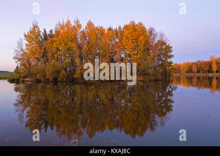 La coloration d'automne avec les arbres se reflètent dans l'eau, à proximité de Plothen, Thuringe, Allemagne Banque D'Images