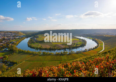 Boucle Neckar près de Mundelsheim, vignes, paysage d'automne, Bade-Wurtemberg, Allemagne Banque D'Images