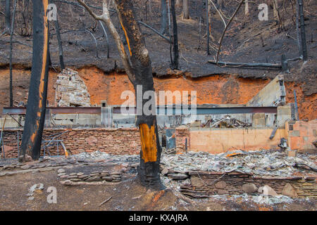 Conséquences des incendies de forêt, Gatlinburg, Tennessee, novembre 2016, par Bill Lea/Dembinsky Assoc Photo Banque D'Images