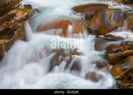 Détail de cascades, de l'automne, à l'Ouest à la terre peu Pigeon River, Great Smoky Mountains NP, TN, États-Unis d'Amérique, par Bill Lea/Dembinsky Assoc Photo Banque D'Images