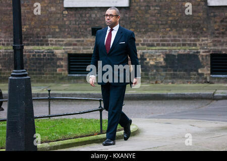 Londres, Royaume-Uni. 8 janvier, 2018. James arrive à l'extérieur de 10 MP habilement Downing Street sur le matin d'un remaniement ministériel par le Premier ministre Theresa May. Il a été annoncé plus tard que le nouveau Parti conservateur Vice-président. Credit : Mark Kerrison/Alamy Live News Banque D'Images