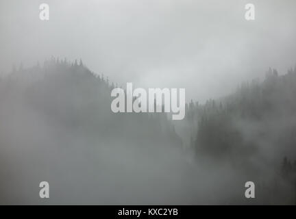 Un épais brouillard et nuages couvrant la vallée boisée en Norvège. Banque D'Images