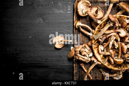 Les champignons frais miel panier dans agarics. Sur le tableau noir. Banque D'Images