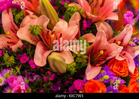Les bourgeons de beaux nénuphars close up. La floristique, la décoration Banque D'Images