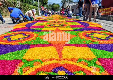 Antigua, Guatemala - Mars 24, 2016 : Les sections locales font de la sciure de bois teint en procession le Jeudi saint dans la ville avec des tapis célèbre célébrations de la Semaine Sainte Banque D'Images