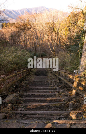 Photographie à Hakone un long escalier à l'intérieur d'un parc. Banque D'Images