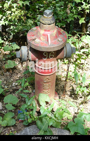 Cette photographie a été prise le 22 août 2015 avec un appareil photo Sony RX10. L'image capture un moment ou une scène spécifique, mettant potentiellement en valeur un environnement naturel ou urbain dans les moindres détails. Banque D'Images