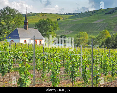 Au milieu des vignes de l'église à Moselle Banque D'Images