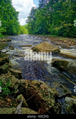 Dans la pittoresque rivière Canneberge Cranberry Wilderness, Virginie-Occidentale Banque D'Images