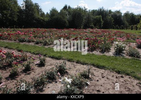 Cette entrée fait référence à un format de fichier Web ou à une structure de données, éventuellement lié au codage HTML ou à la documentation en ligne, indiquant une ressource numérique technique. Banque D'Images