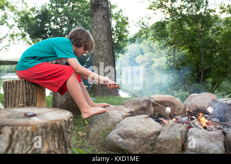Vue latérale du garçon le rôtissage de la guimauve sur feu de camp tout en restant assis sur souche d'arbre au camping Banque D'Images