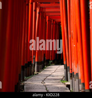 Avis de Torii Gates au Sanctuaire Nezu Banque D'Images