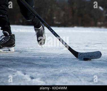 Bo jouant au hockey sur glace sur un étang gelé par une froide journée d'hiver Banque D'Images