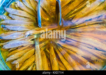 Anchois marinés turc marinés filets de poissons en saumure avec des pinces dans le plateau métallique, Close up, high angle view Banque D'Images