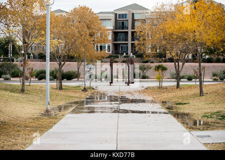 Magnifique parc en automne Banque D'Images