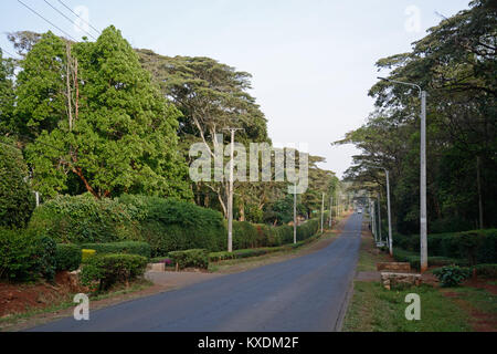 Vue générale de la route Bogani, Karen, Nairobi, Kenya Banque D'Images